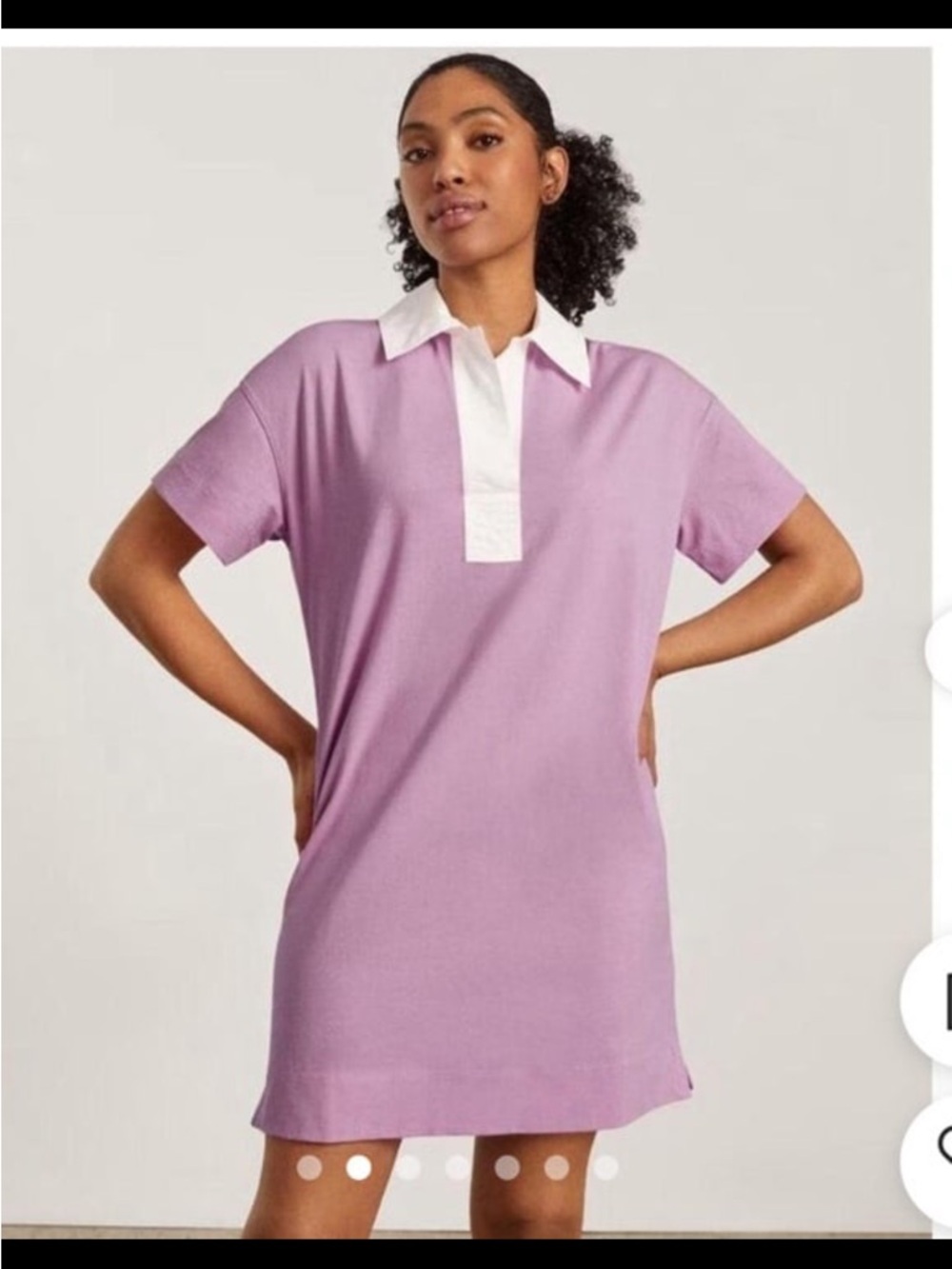 Everlane Organic Cotton Rugby Polo Dress - Pink/White - Size Small